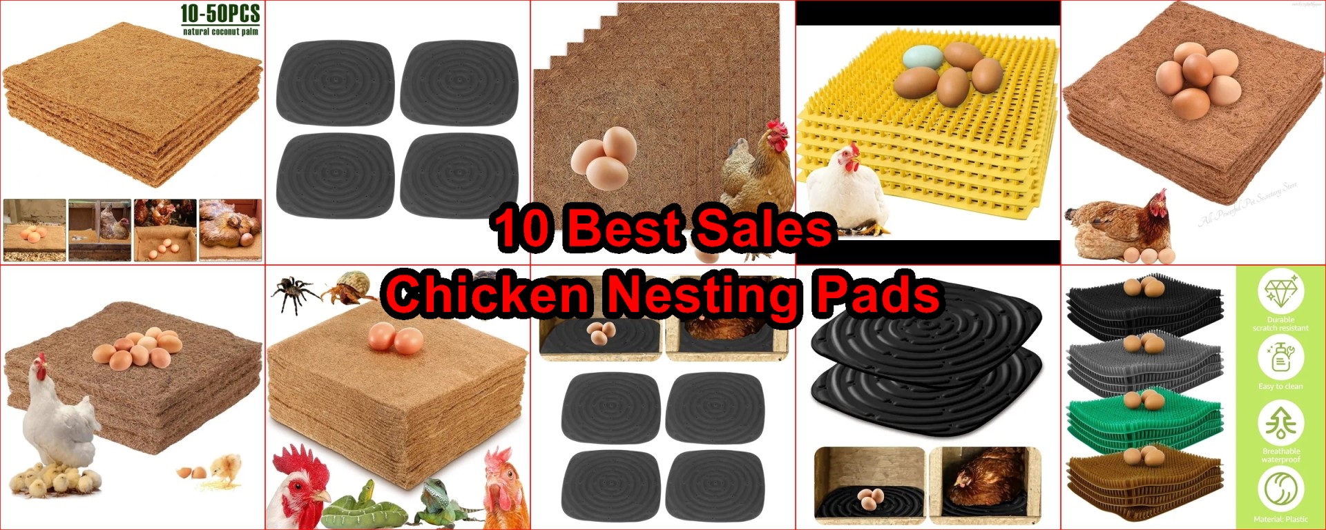 best chicken coop bedding