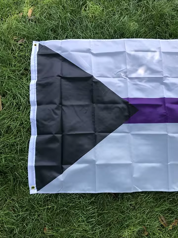 SKY FLAG free shipping 90x150cm LGBTQIA Ace Community Demi Asexuality asexual pride demisexual Flag polyester for decoration 6 best sales demisexual - №6
