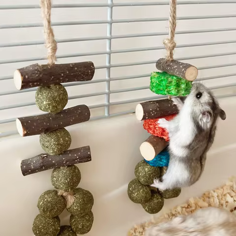 Guinea Pig Chew Toys Healthy Teeth Oral Care Tools Wooden Hamster Chews Pet Supplies Toys For Hedgehogs Degus Rabbit Chinchillas 8 best sales chinchilla toy - №5