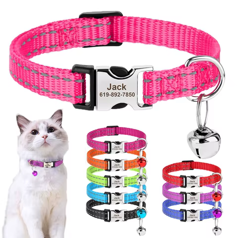 10 best sales free cat collar - №4