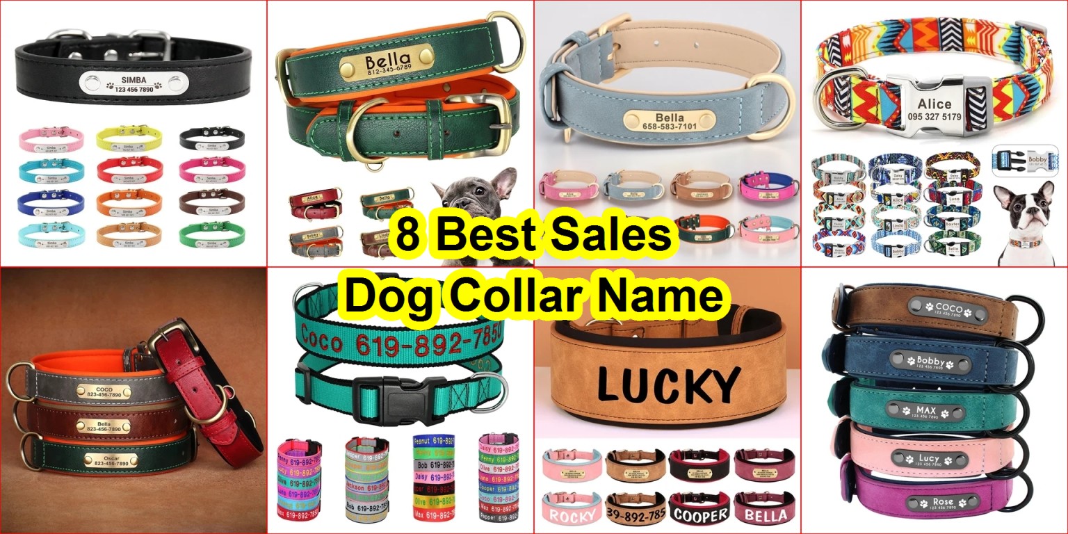 personalized dog collar