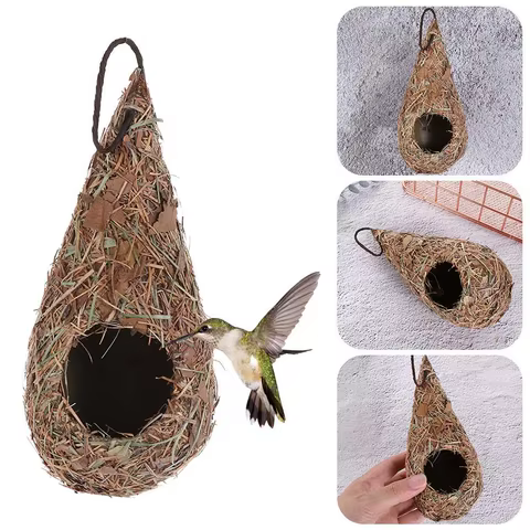 12 best sales birds nest - №8