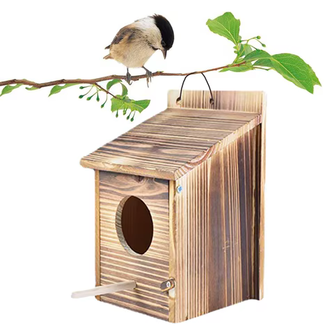 12 best sales birds nest - №5