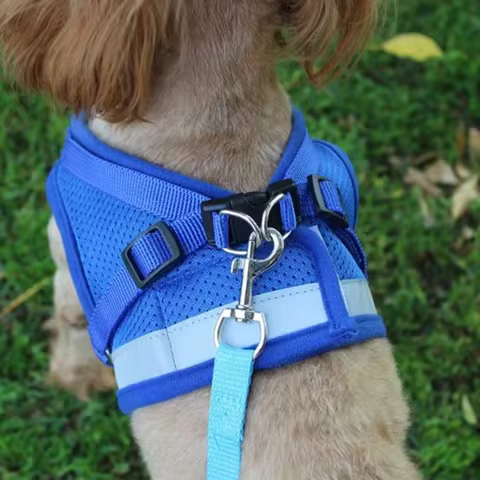 6 best sales rope harness - №3