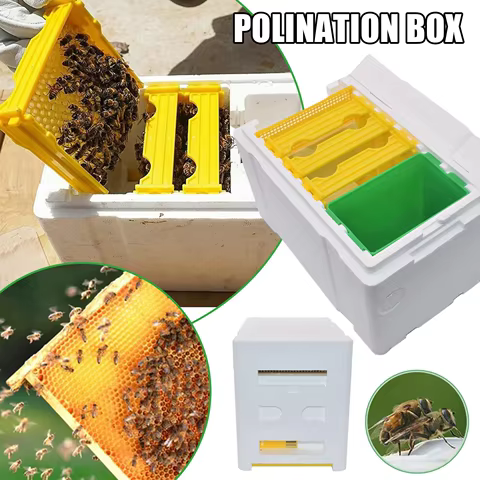 Queen Bee Breeding Box Bee Mating Box Foam Bee Hive Box Beekeeper Garden Pollination Box Bee Breeding Case Beekeeping Equipment 12 best sales beekeeper tools - №6
