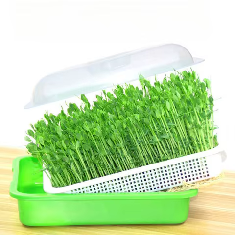 8 best sales hydroponic garden system - №8
