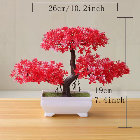 12 best sales fig tree - №1