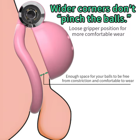 10 best sales erection cage - №5