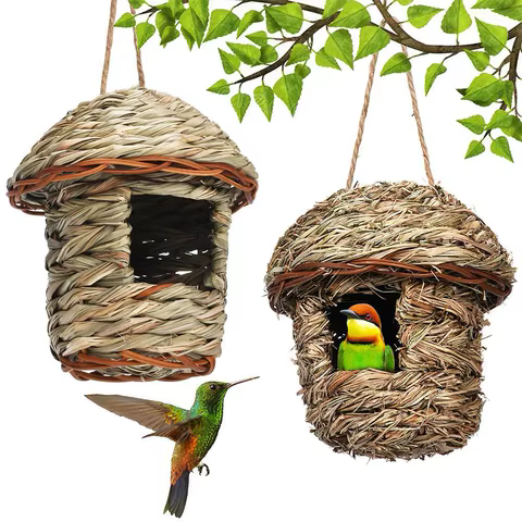 12 best sales birds nest - №6