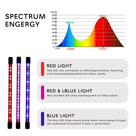 USB LED Plant Grow Light Indoor Garden 10 Dimmable Levels Grow Light Full Spectrum Timer Setting Hydroponic Greenhouse 3H/9H/12H 8 best sales growbox 40x40 - №5