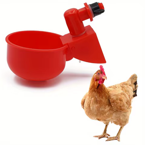 Chicken Drinking Bowl Drinking Water Quail Poultry Automatic Water Dispenser Duck and Pigeon Free Range Chicken 10 best sales chicken drinker - №1