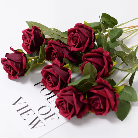 10 best sales rose wall - №10