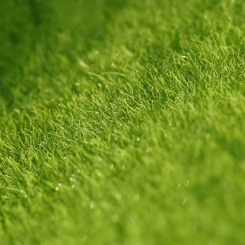 8 best sales turf - №8