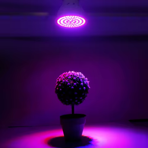 Led Grow Bulb 220V E27 60 80LEDs Full Spectrum LED Plant Greenhouse Hydroponic Growth Light Indoor Plant Phyto Flower Lamp 8 best sales growbox 40x40 - №2