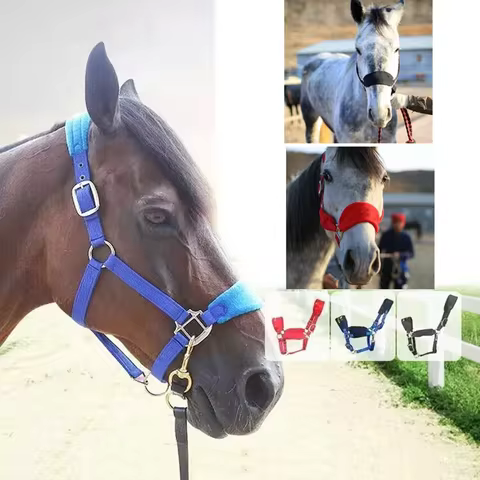 Soft Padded Pony Horse Halter Bridle Headstall Head Collar Horse Riding Stable Horse Bridle Headstall Accessories Western 10 best sales arabian horse - №7
