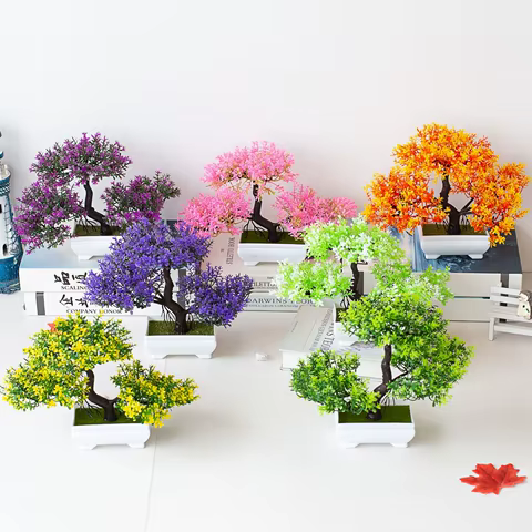 10 best sales miniature plants - №3