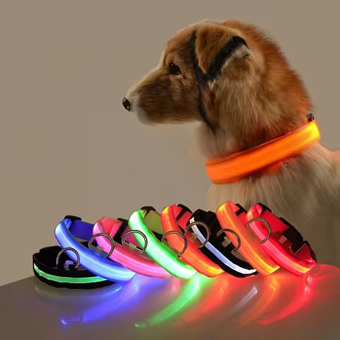 Nylon LED Night Safety Flashing Glow In The Dark Dog Leash Dogs Luminous Fluorescent Pet Dog Collar 10 best sales stainless steel dog collar - №2