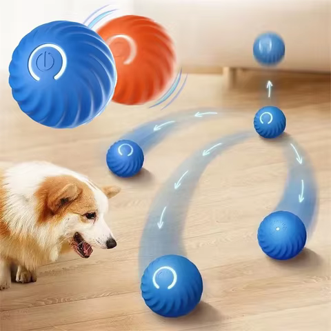 6 best sales smart dog - №6