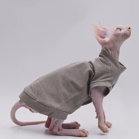 12 best sales cat vest - №8