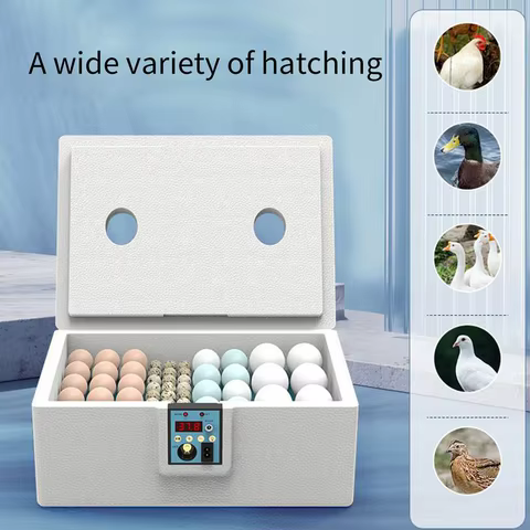 6 best sales brooder - №6