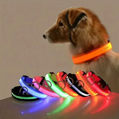 Nylon LED Night Safety Flashing Glow In The Dark Dog Leash Dogs Luminous Fluorescent Pet Dog Collar 8 best sales maltese dog accessories - №3