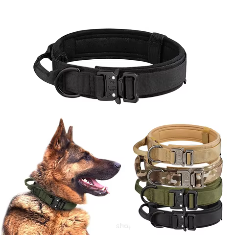 12 best sales dog collar metal - №7