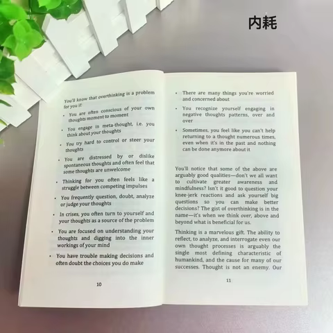 Stop Overthinking in English Paperback in English Paperback English Book 6 best sales lewitt - №5