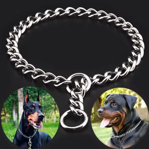 12 best sales dog collar metal - №3
