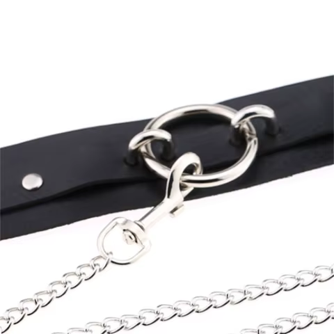 12 best sales collar sm - №8