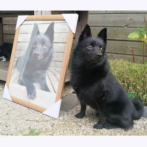 6 best sales diamond painting cuss words - №6