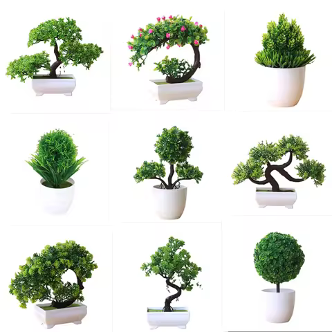 10 best sales miniature plants - №8