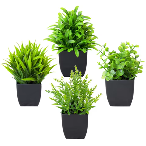10 best sales miniature plants - №7