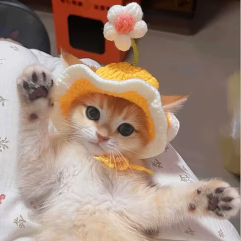 10 best sales cat hats - №8