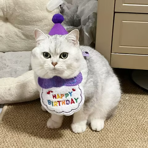 10 best sales cat hats - №1