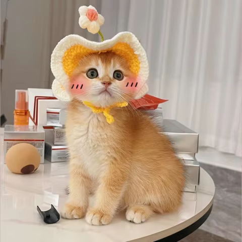 10 best sales cat hats - №8