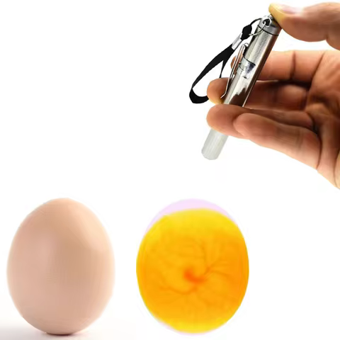 Egg Candler Monitoring Egg Development Egg Candle Incubator Incubator LED Ultra Low Temperature Equipment Hatching Tools 6 best sales incubator heater - №1