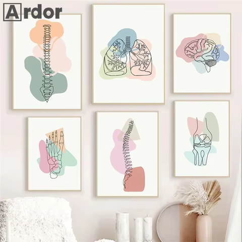 6 best sales poster anatomie - №6