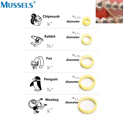 10 best sales orthodontic rubber bands - №10