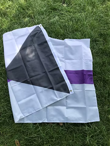 SKY FLAG free shipping 90x150cm LGBTQIA Ace Community Demi Asexuality asexual pride demisexual Flag polyester for decoration 6 best sales demisexual - №6
