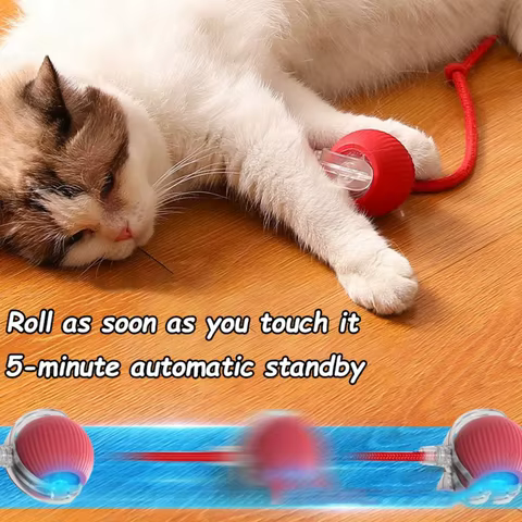 8 best sales interactive cat ball - №3