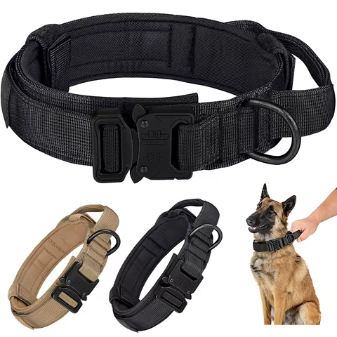 12 best sales dog collar metal - №6