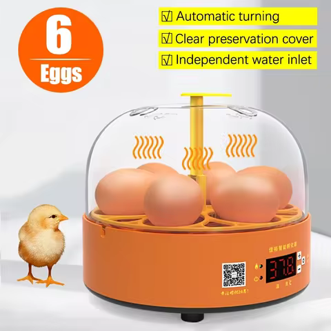 6 best sales brooder - №5